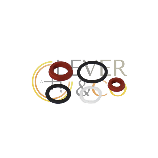 Guarnizioni di riparazione per cilindro ricevente della frizione QUICKSHIFT